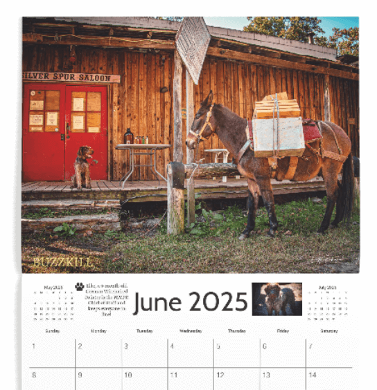 2025 Mountain Mule Packer Ranch Calendar
